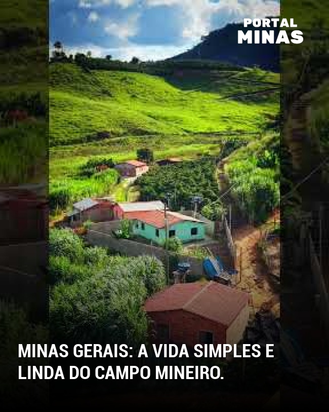 Minas Gerais: A vida simples e linda do campo mineiro.