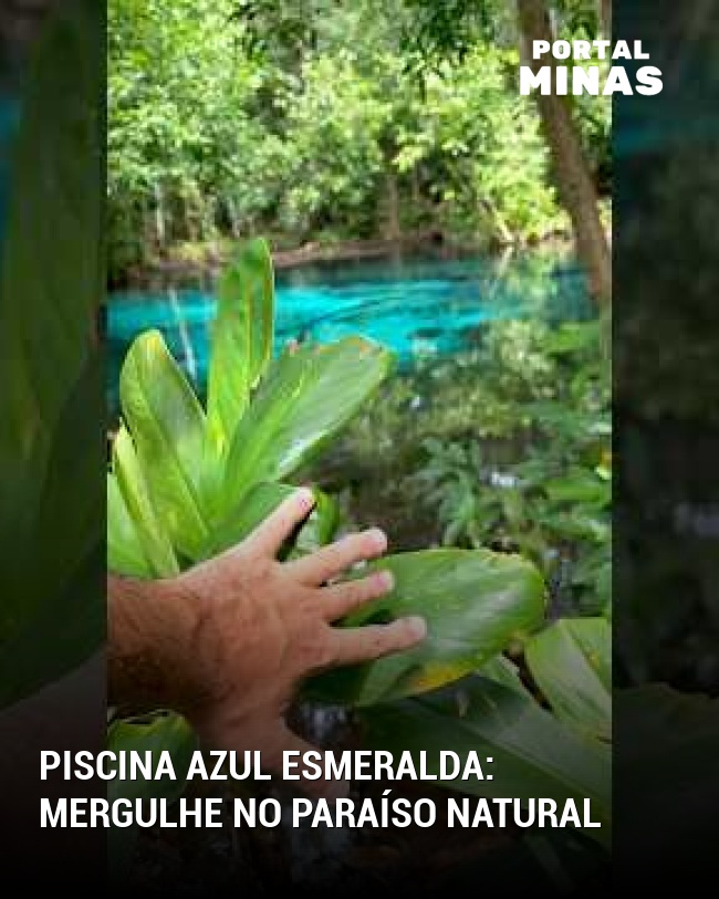 Piscina Azul Esmeralda: Mergulhe no Paraíso Natural