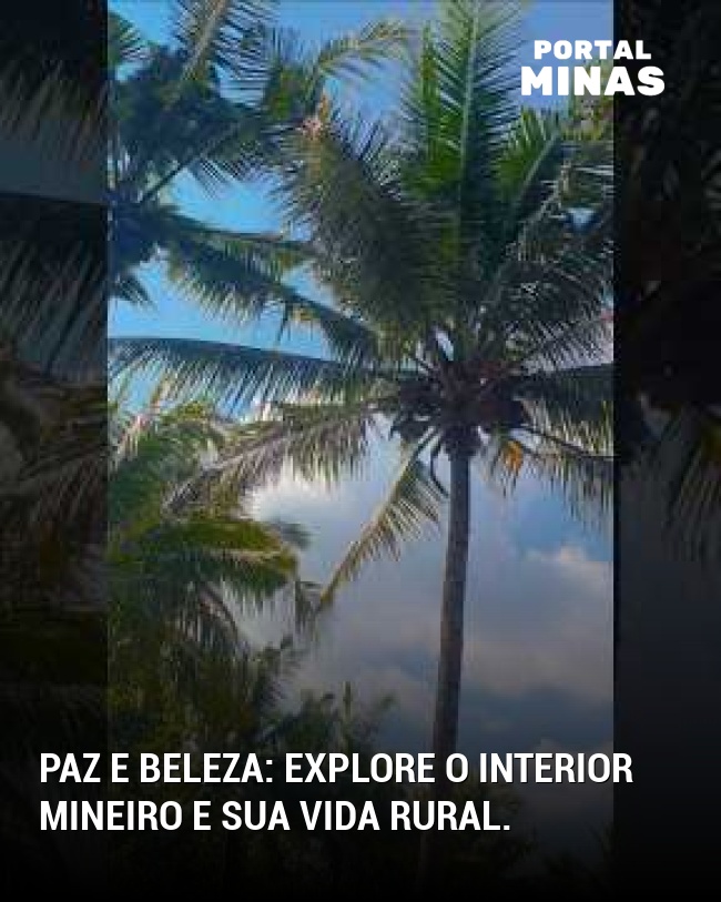 Paz e beleza: explore o interior mineiro e sua vida rural.