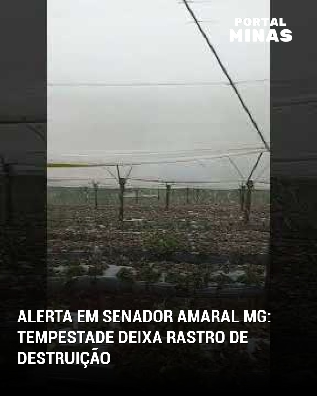 Alerta em Senador Amaral MG: Tempestade deixa rastro de destruição