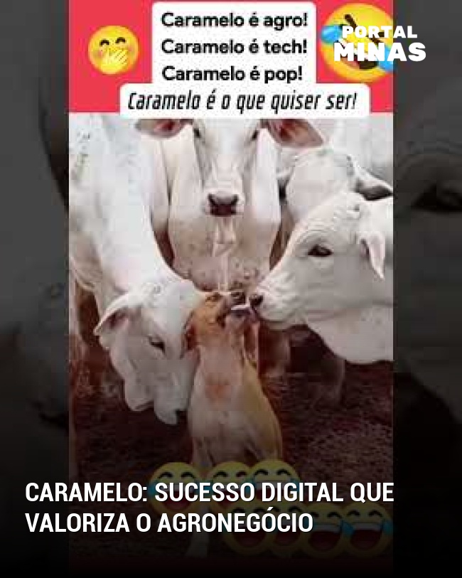 Caramelo: sucesso digital que valoriza o agronegócio