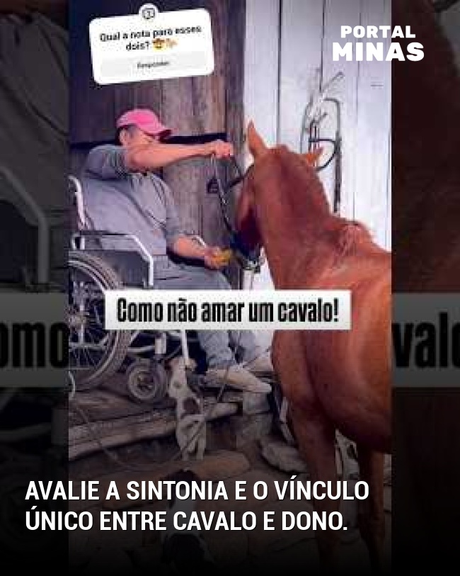 Avalie a sintonia e o vínculo único entre cavalo e dono.