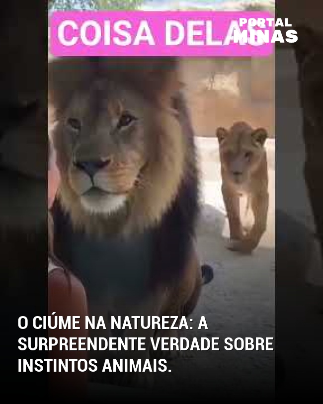 O ciúme na natureza: a surpreendente verdade sobre instintos animais.