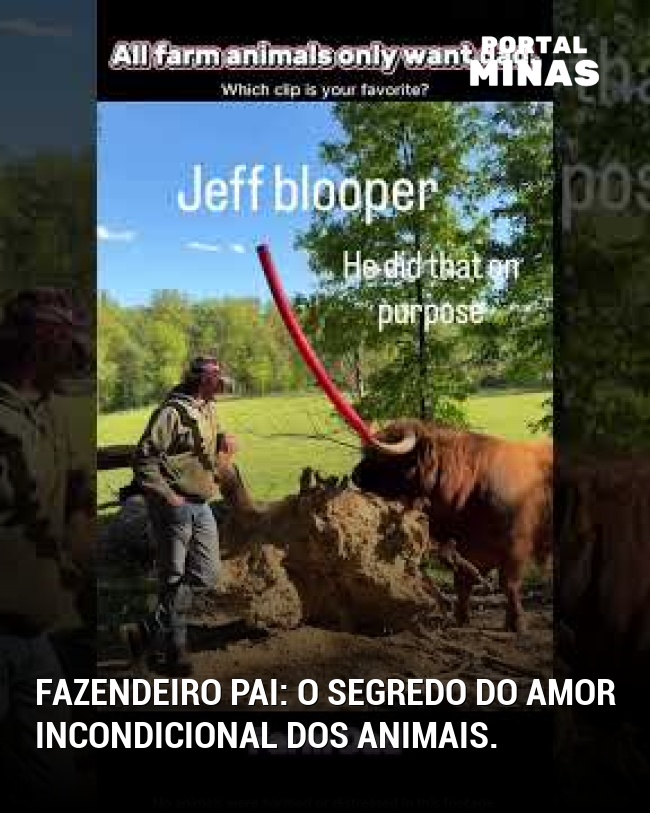 Fazendeiro pai: o segredo do amor incondicional dos animais.