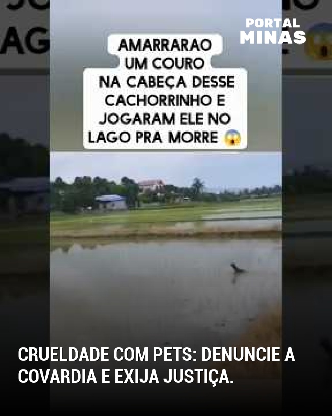 Crueldade com pets: Denuncie a covardia e exija justiça.