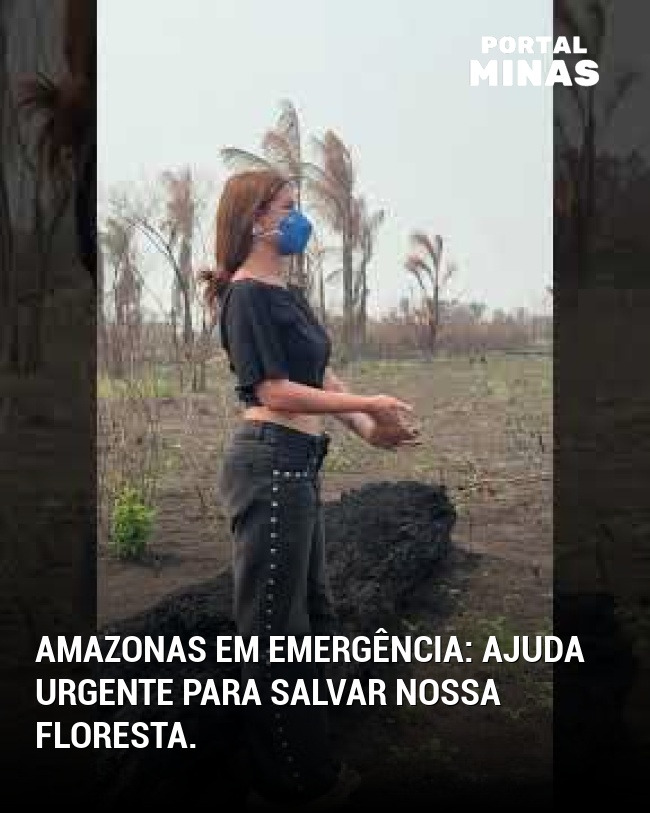 Amazonas em emergência: Ajuda urgente para salvar nossa floresta.