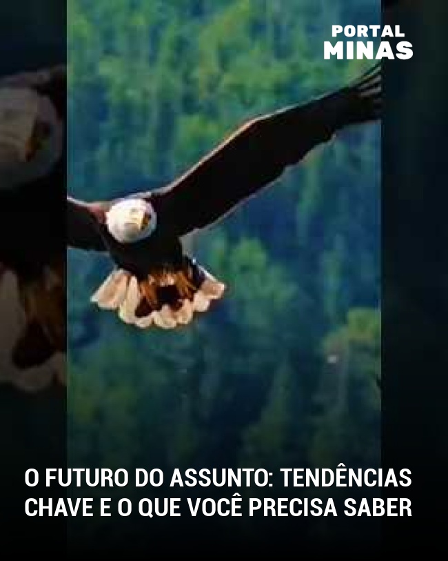 O Futuro do Assunto: Tendências Chave e o Que Você Precisa Saber