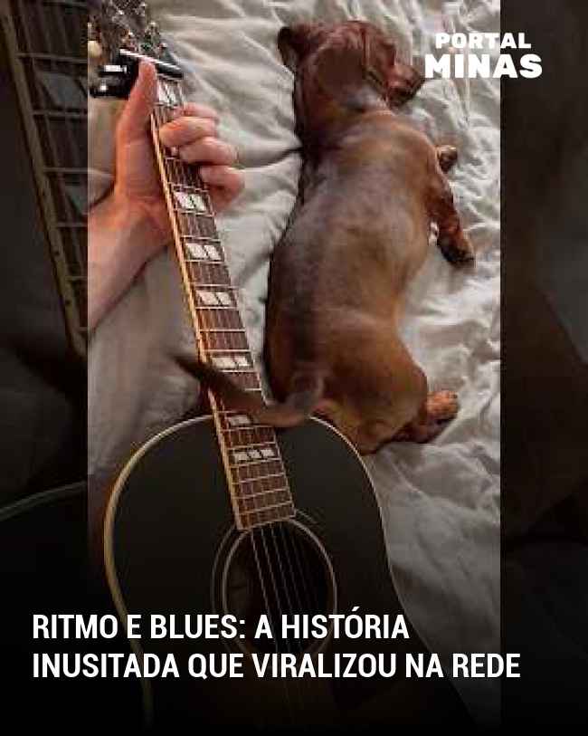 Ritmo e blues: a história inusitada que viralizou na rede