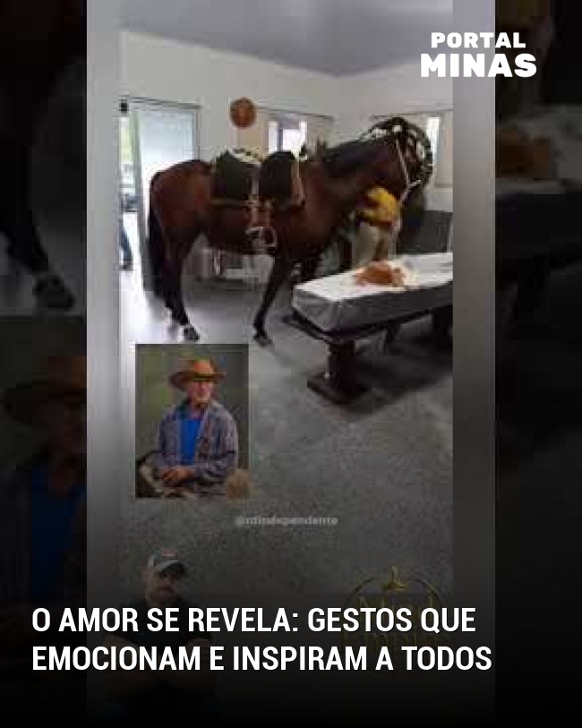 O amor se revela: gestos que emocionam e inspiram a todos