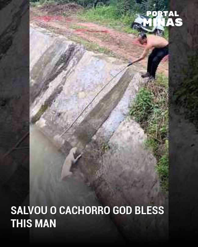 Salvou o cachorro God bless this man ️