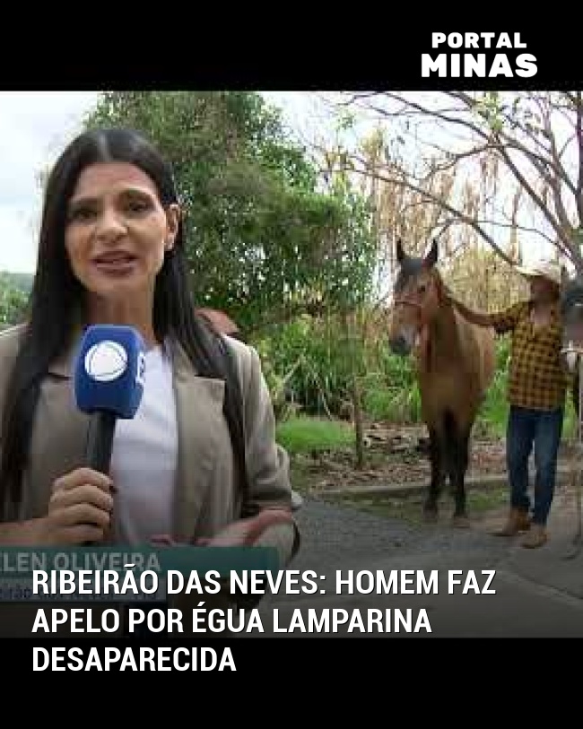 Ribeirão das Neves: Homem faz apelo por égua Lamparina desaparecida
