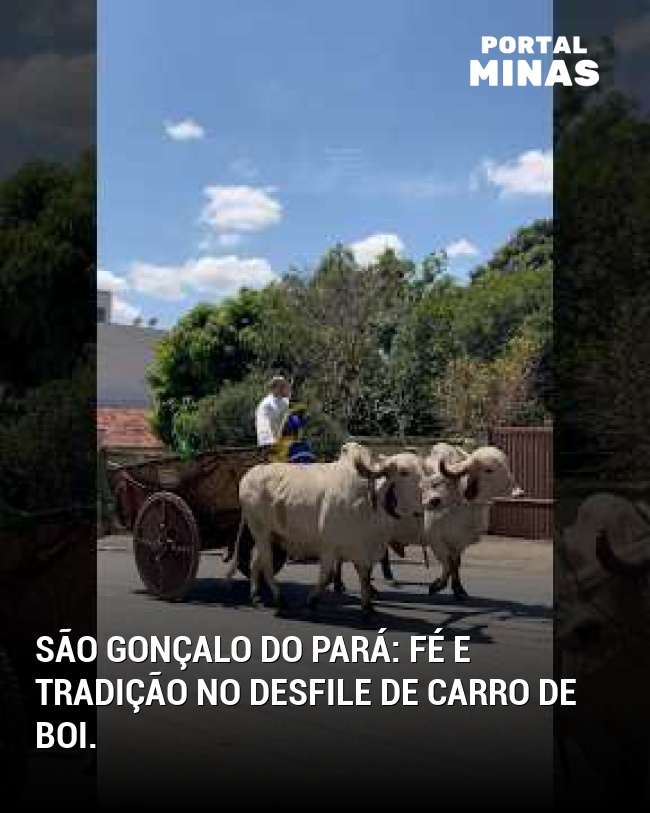 São Gonçalo do Pará: fé e tradição no desfile de carro de boi.