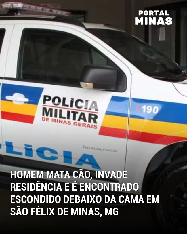 Homem mata cão, invade residência e é encontrado escondido debaixo da cama em São Félix de Minas, MG