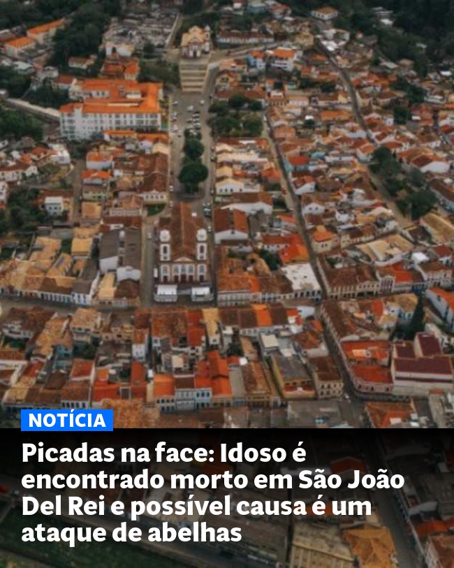 Picadas na face: Idoso é encontrado morto em São João Del Rei e possível causa é um ataque de abelhas