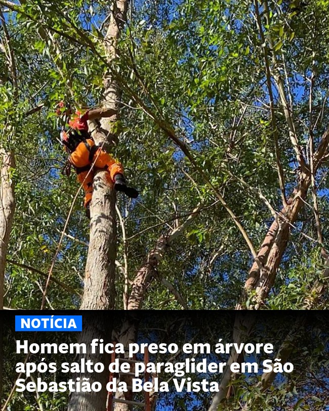 Homem fica preso em árvore após salto de paraglider em São Sebastião da Bela Vista - Post para compartilhamento via WhatsApp