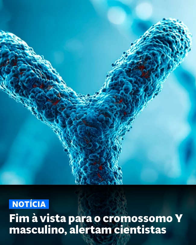 Fim à vista para o cromossomo Y masculino, alertam cientistas - Post para compartilhamento via WhatsApp