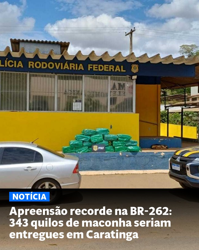 Apreensão recorde na BR-262: 343 quilos de maconha seriam entregues em Caratinga - Post para compartilhamento via WhatsApp
