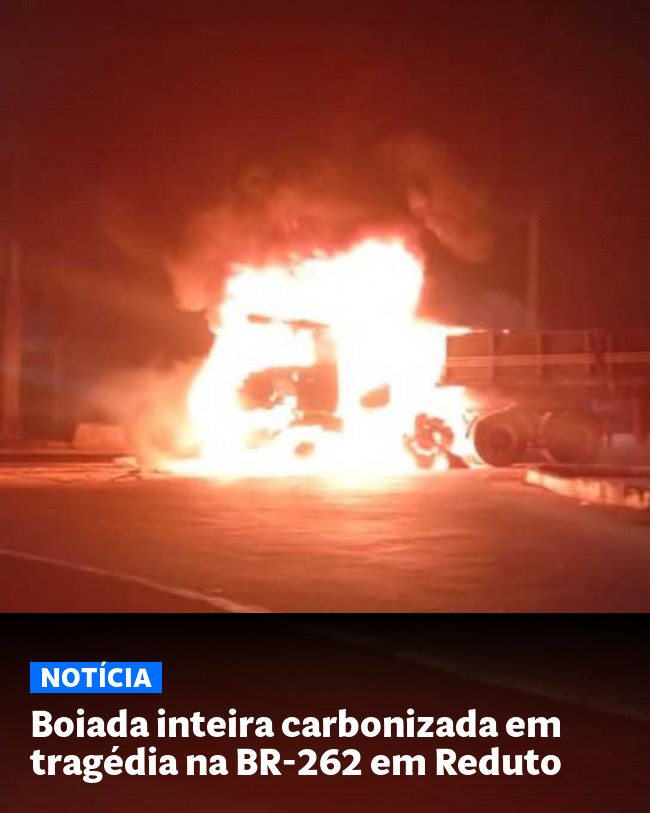 Boiada inteira carbonizada em tragédia na BR-262 em Reduto - Post para compartilhamento via WhatsApp