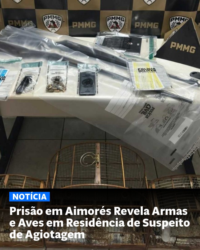 Prisão em Aimorés Revela Armas e Aves em Residência de Suspeito de Agiotagem - Post para compartilhamento via WhatsApp