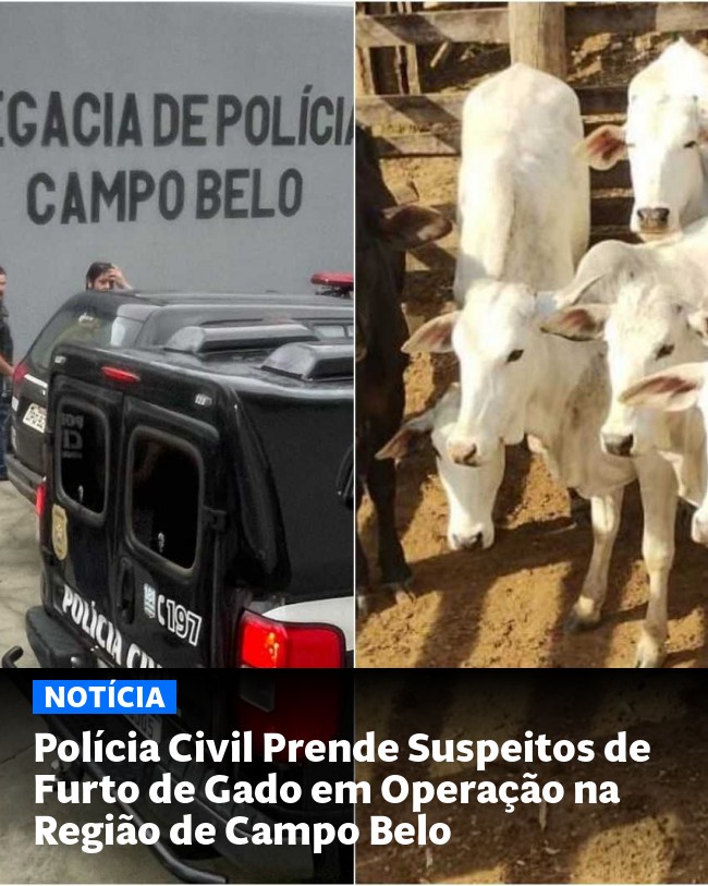 Polícia Civil Prende Suspeitos de Furto de Gado em Operação na Região de Campo Belo - Post para compartilhamento via WhatsApp