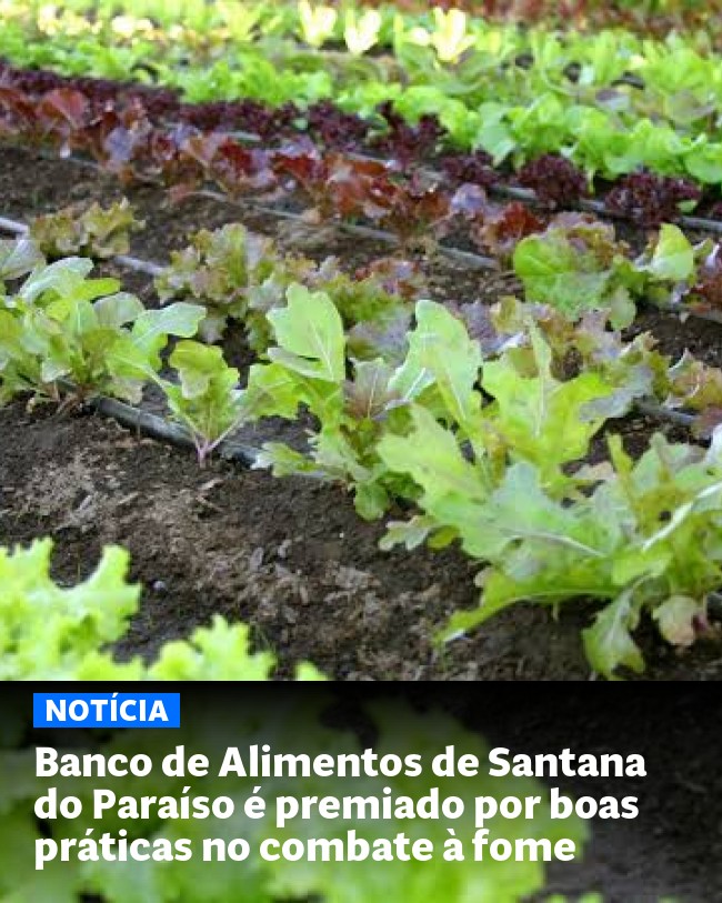 Banco de Alimentos de Santana do Paraíso é premiado por boas práticas no combate à fome - Post para compartilhamento via WhatsApp