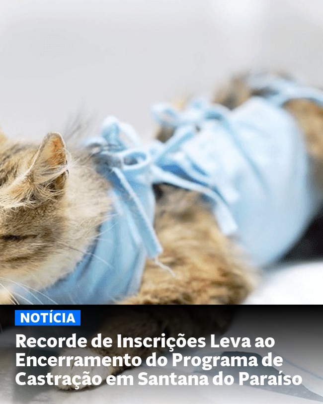 Recorde de Inscrições Leva ao Encerramento do Programa de Castração em Santana do Paraíso - Post para compartilhamento via WhatsApp