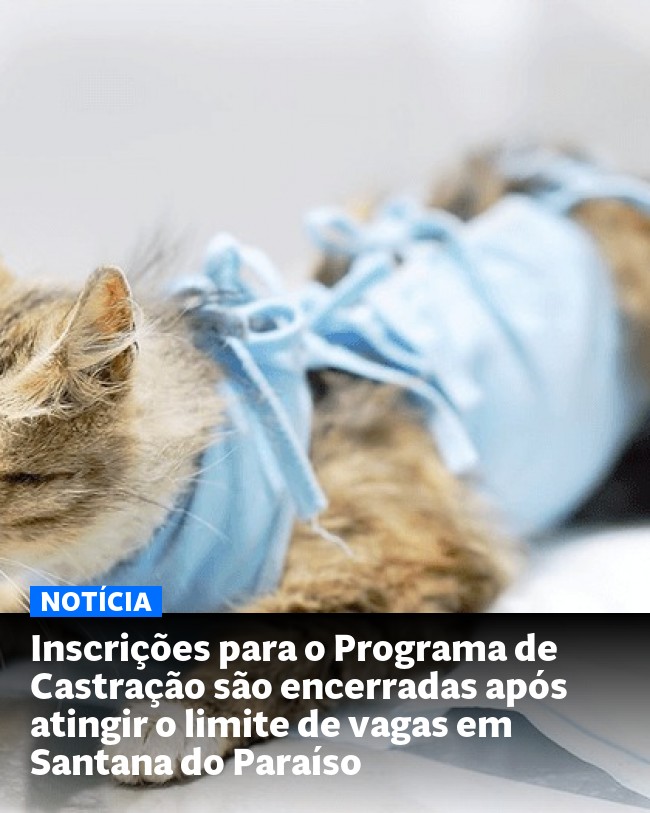 Inscrições para o Programa de Castração são encerradas após atingir o limite de vagas em Santana do Paraíso - Post para compartilhamento via WhatsApp