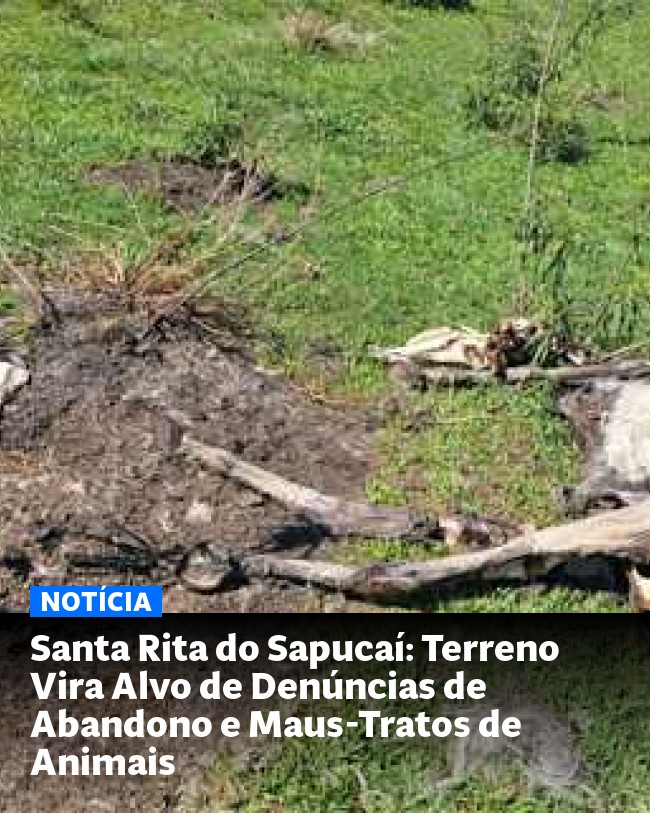 Santa Rita do Sapucaí: Terreno Vira Alvo de Denúncias de Abandono e Maus-Tratos de Animais - Post para compartilhamento via WhatsApp