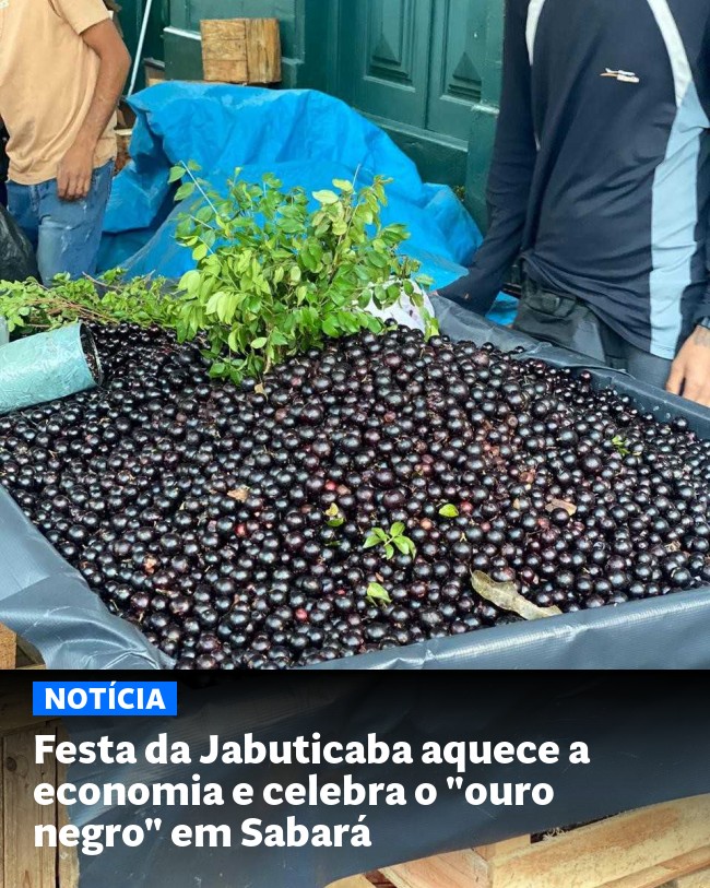 Festa da Jabuticaba aquece a economia e celebra o "ouro negro" em Sabará - Post para compartilhamento via WhatsApp