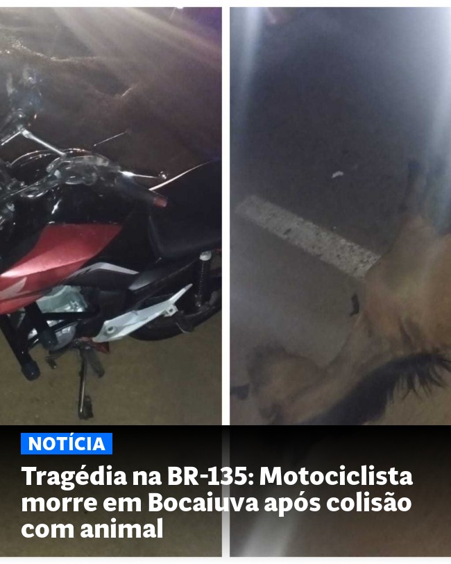 Tragédia na BR-135: Motociclista morre em Bocaiuva após colisão com animal - Post para compartilhamento via WhatsApp
