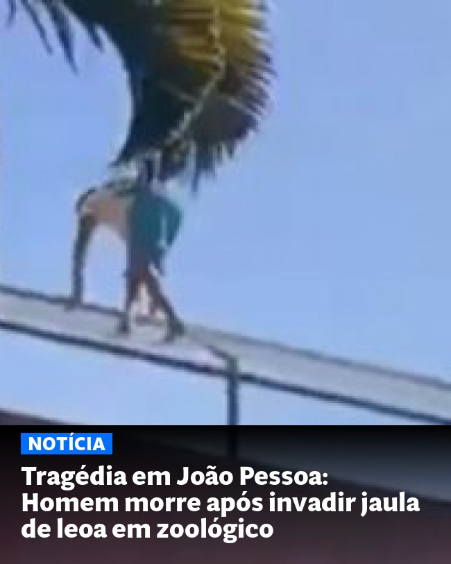 Tragédia em João Pessoa: Homem morre após invadir jaula de leoa em zoológico - Post para compartilhamento via WhatsApp