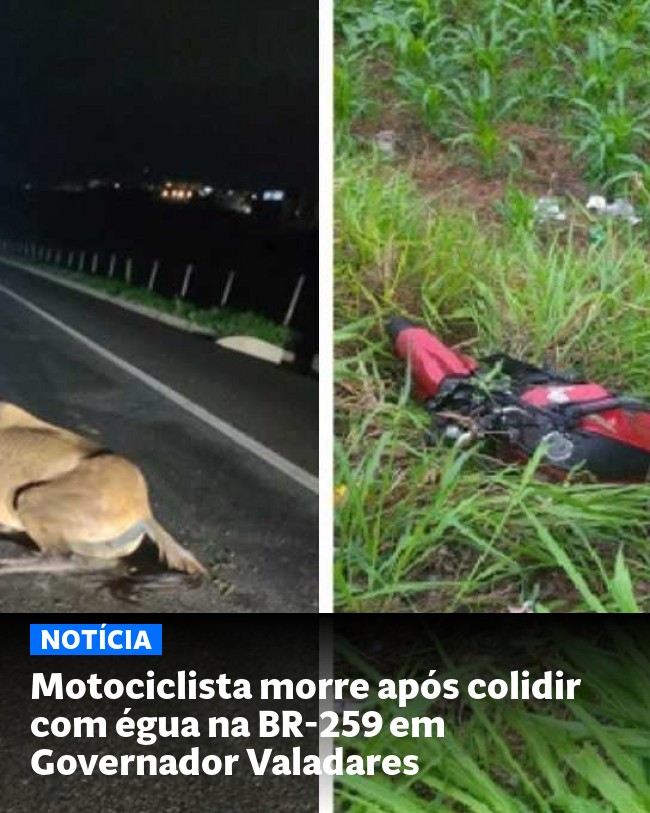 Motociclista morre após colidir com égua na BR-259 em Governador Valadares - Post para compartilhamento via WhatsApp
