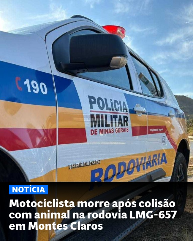 Motociclista morre após colisão com animal na rodovia LMG-657 em Montes Claros - Post para compartilhamento via WhatsApp