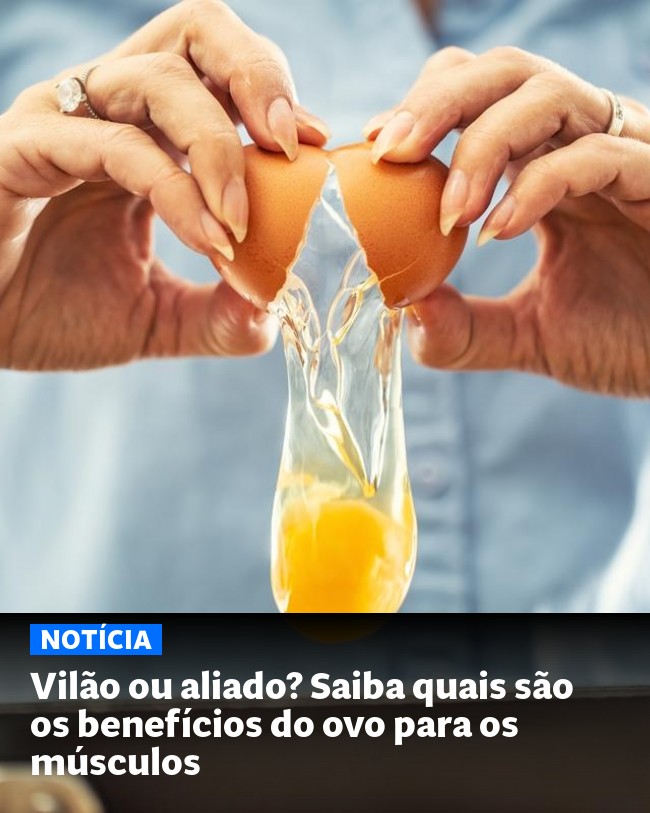 Vilão ou aliado? Saiba quais são os benefícios do ovo para os músculos - Post para compartilhamento via WhatsApp