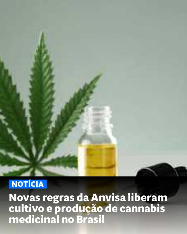 Novas regras da Anvisa liberam cultivo e produção de cannabis medicinal no Brasil - Post para compartilhamento via WhatsApp