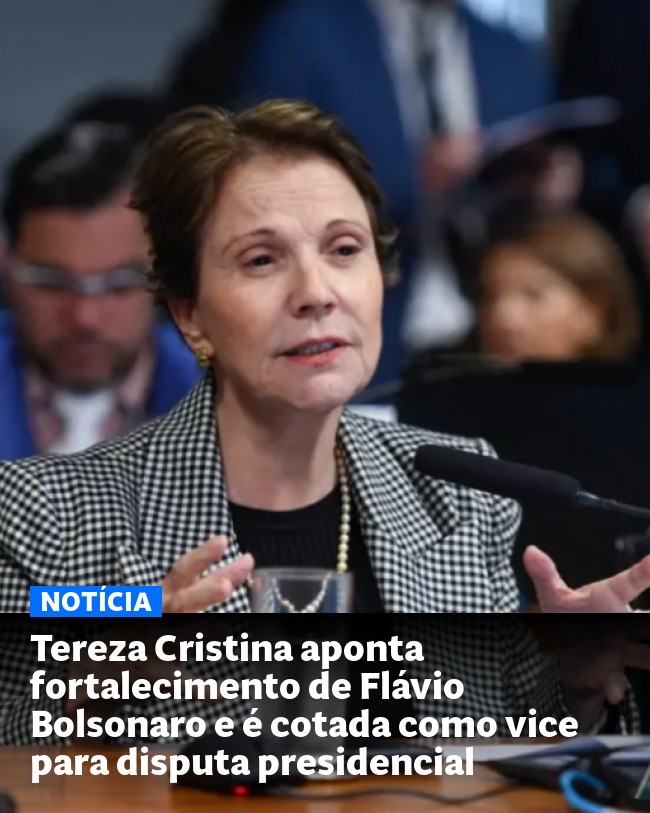 Tereza Cristina aponta fortalecimento de Flávio Bolsonaro e é cotada como vice para disputa presidencial - Post para compartilhamento via WhatsApp