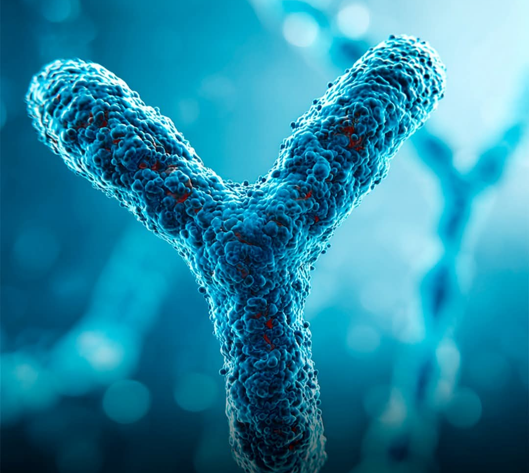 Fim à vista para o cromossomo Y masculino, alertam cientistas
