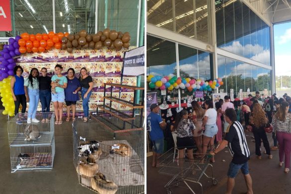Mart Minas busca parceiros em Santana do Paraíso para evento de adoção de animais