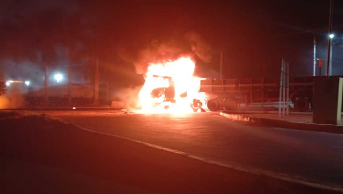 Boiada inteira carbonizada em tragédia na BR-262 em Reduto