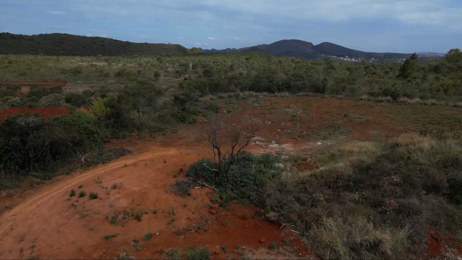 Disputa judicial e ambiental em Nova Lima envolve terreno de mineradora e desmatamento
