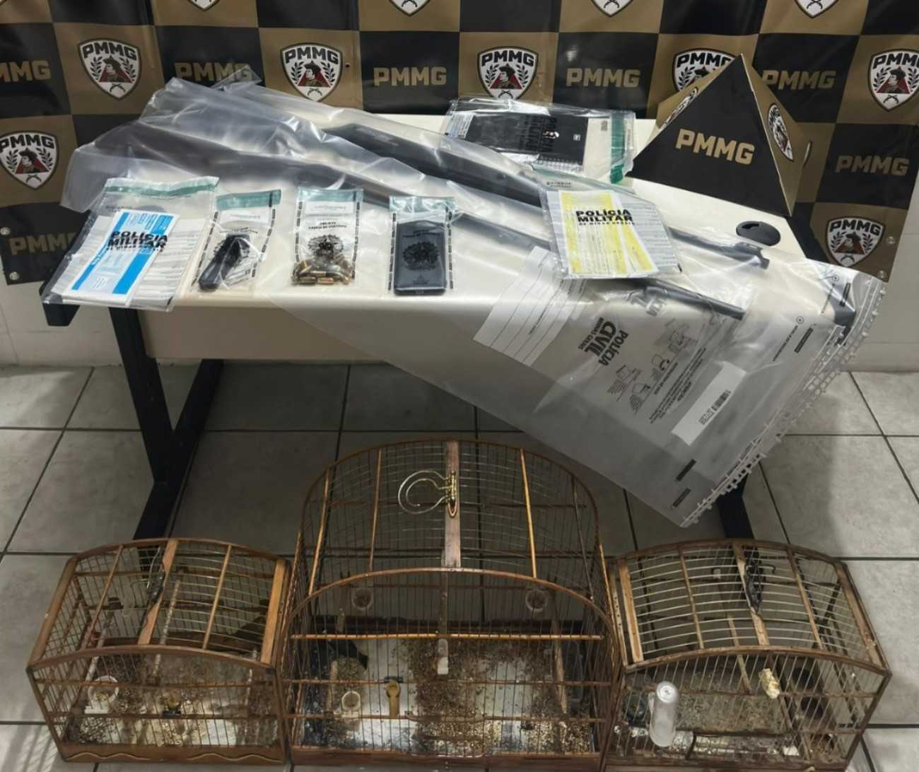 Prisão em Aimorés Revela Armas e Aves em Residência de Suspeito de Agiotagem