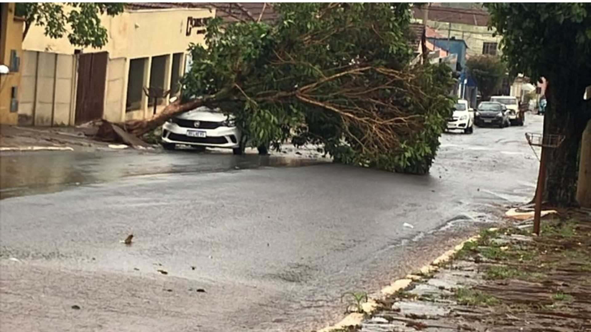 Tempestade com ventos de quase 100 km/h provoca destruição em Sacramento