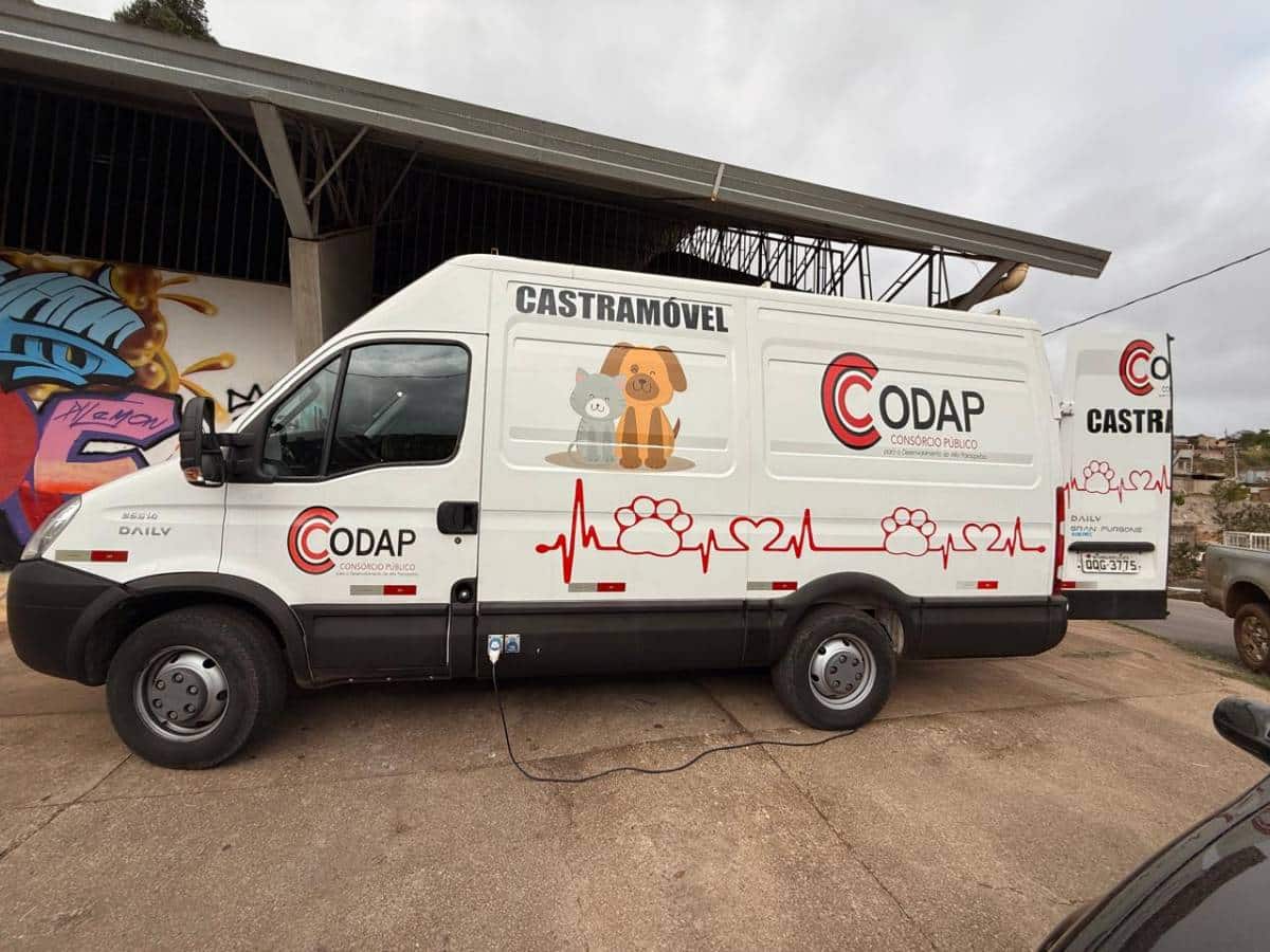 Prefeitura de Congonhas abre cadastramento para castração gratuita de cães e gatos