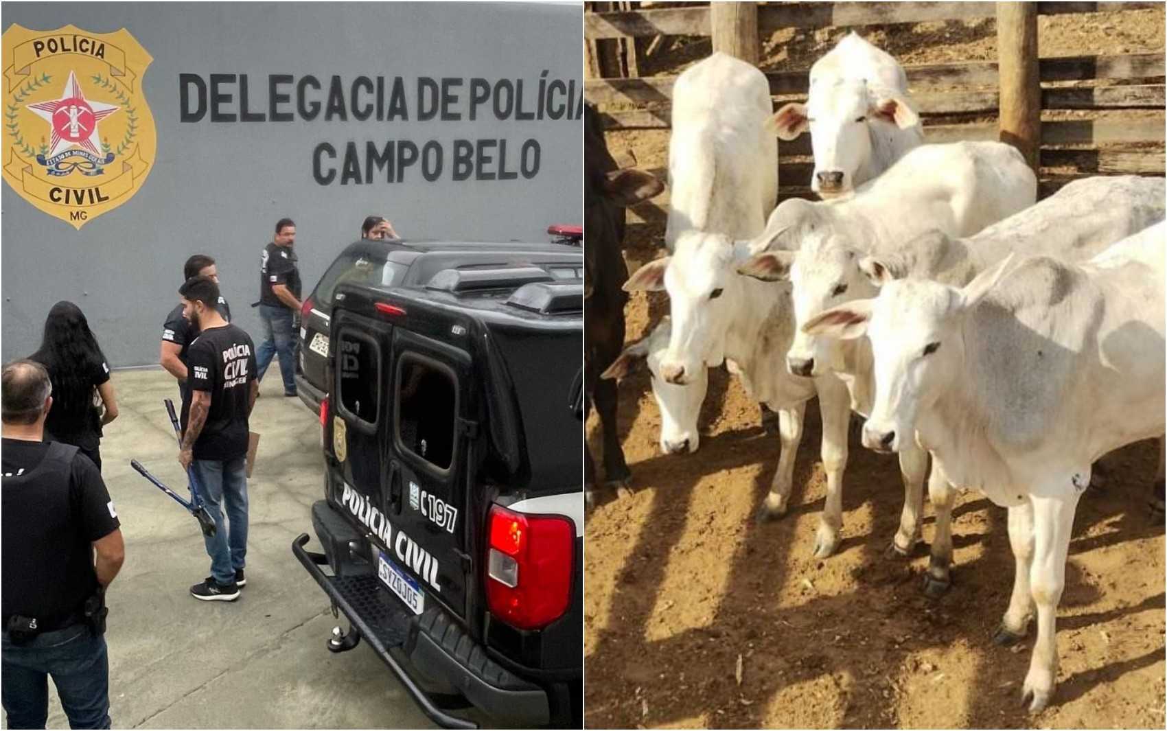 Polícia Civil Prende Suspeitos de Furto de Gado em Operação na Região de Campo Belo