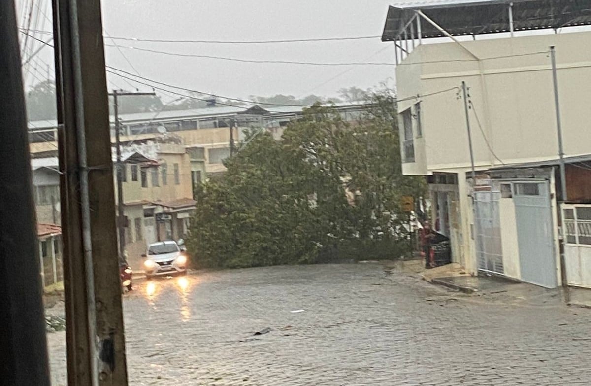 Temporal causa estragos e mobiliza Defesa Civil em Capela Nova