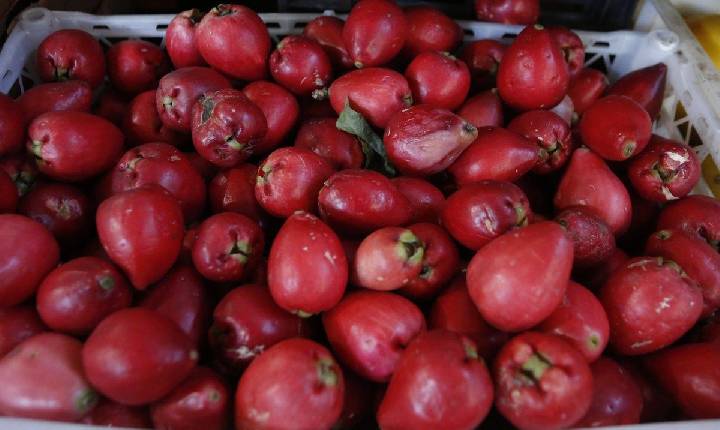 Fruta comum no Brasil protege o coração e ajuda na pressão arterial
