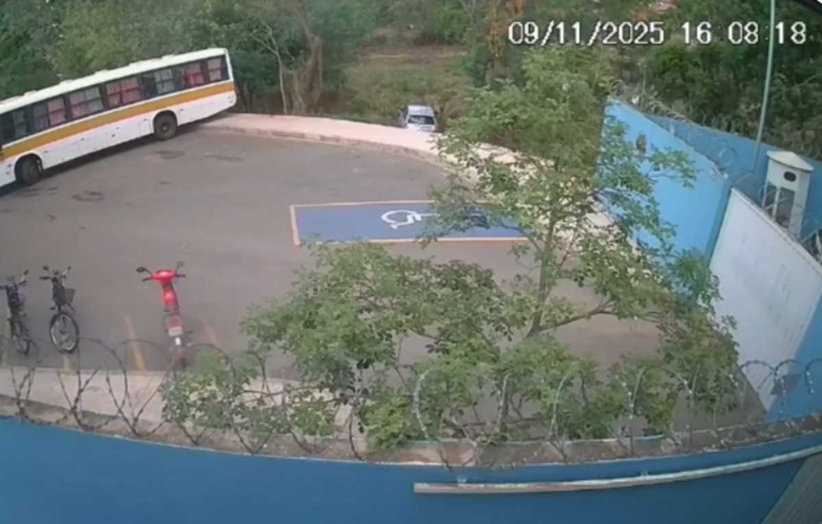 Acidente com veículo termina em ataque de abelhas a idosas em Unaí