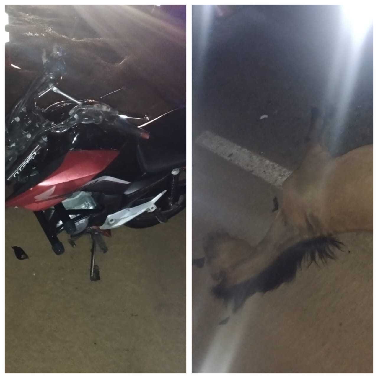 Tragédia na BR-135: Motociclista morre em Bocaiuva após colisão com animal
