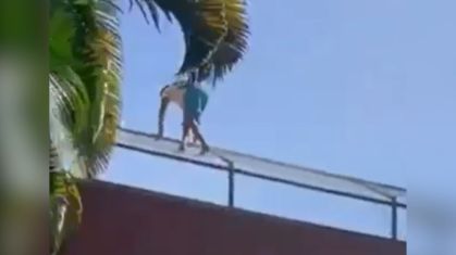 Tragédia em João Pessoa: Homem morre após invadir jaula de leoa em zoológico