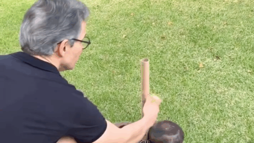 Governador Zema vira inimigo dos autistas e animais em Belo Horizonte após caso de rojão